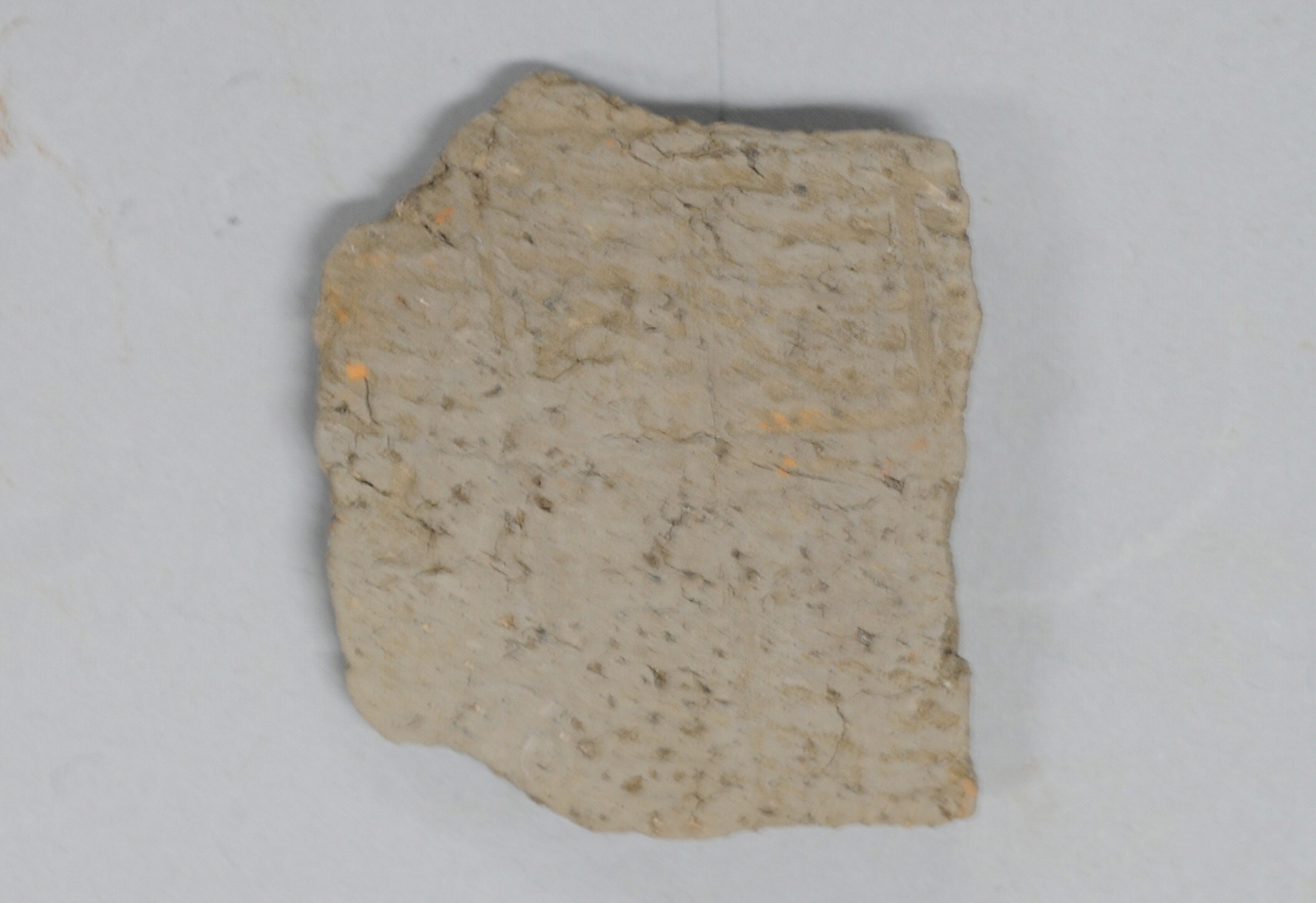 148 타날문토기편